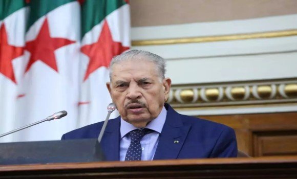 الجزائر لا تكل من الدعوة إلى وحدة الموقف العربي تجاه قضايا الأمة