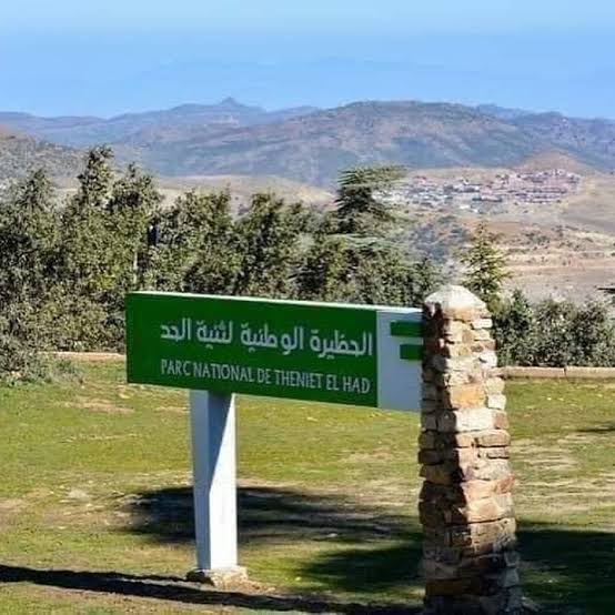 تيسمسيلت: الحظيرة الوطنية لثنية الحد تستقبل أزيد من 8 آلاف زائر خلال أفريل المنصرم