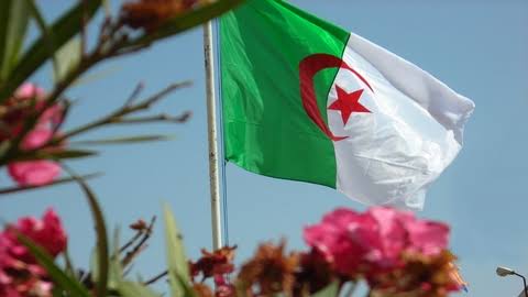اليوم العالمي لإفريقيا : التزام مستمر للجزائر تجاه مصالح القارة