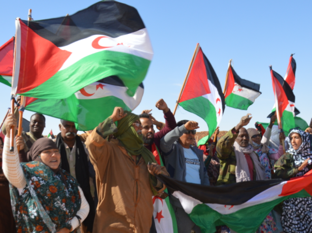 دبلوماسية صحراوية تندد بمحاولات الاحتلال فرض أمر واقع يتناقض مع حق الشعب الصحراوي المشروع في تقرير المصير والاستقلال