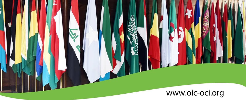 منظمة التعاون الإسلامي.. العدوان الصهيوني انتهاك سافر لسيادة وأمن إيران