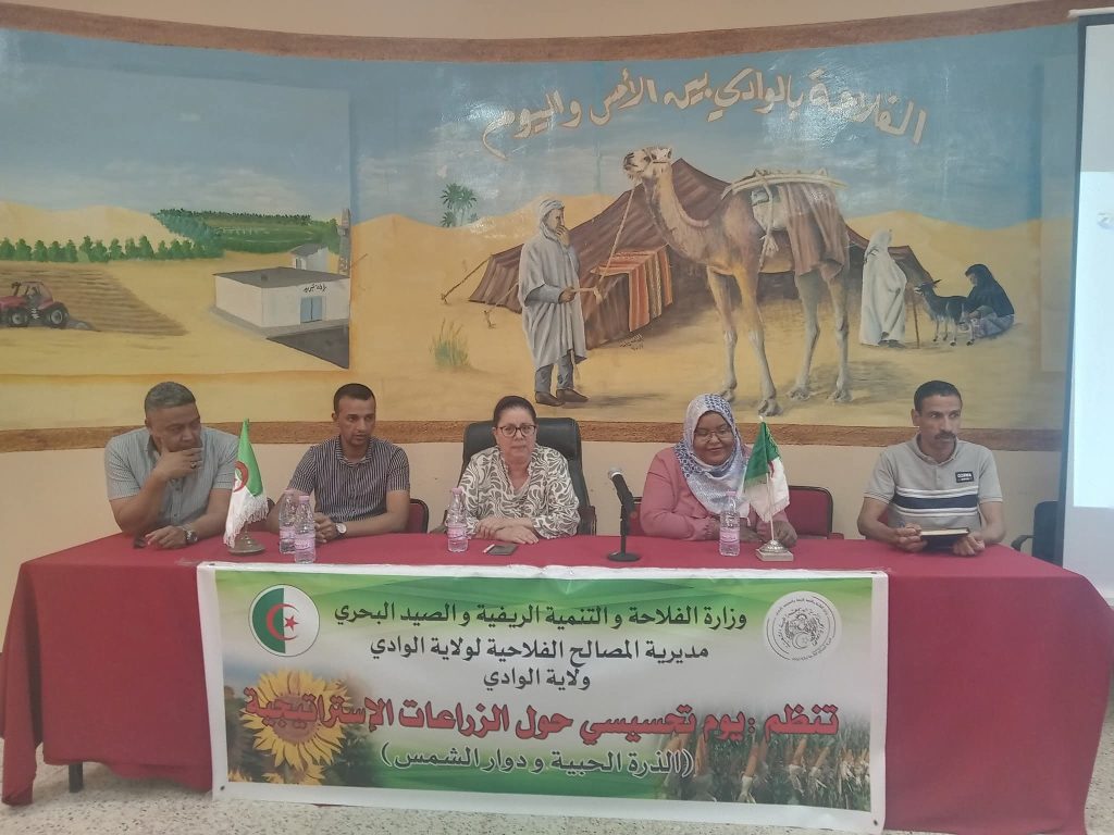 الوادي : تحسيس الفلاحين بأهمية الانخراط في مشروع زراعة دوار الشمس والذرة الحبية