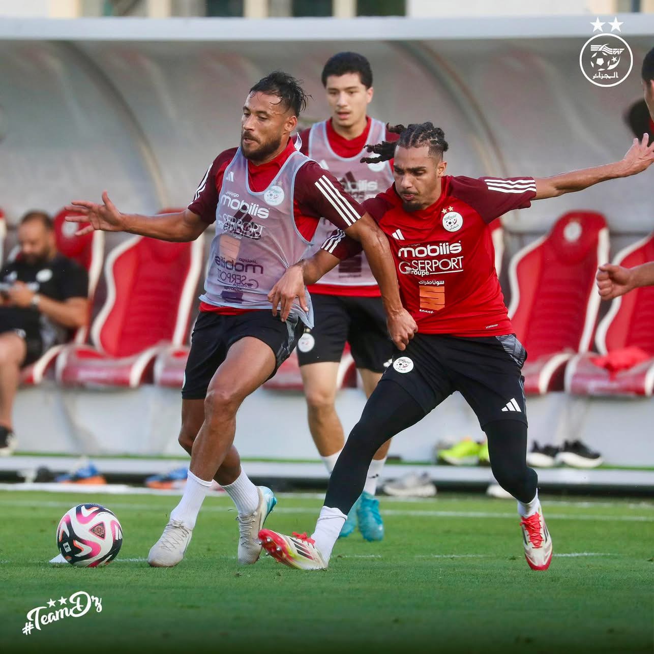 المنتخب الوطني: عمل تقني وتكتيكي في برنامج الحصة التدريبية ” للخضر”