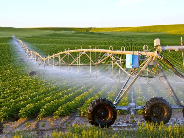البيض: نحو ربط 850 مستثمرة فلاحية جديدة بشبكة الكهرباء قبل نهاية العام الجاري