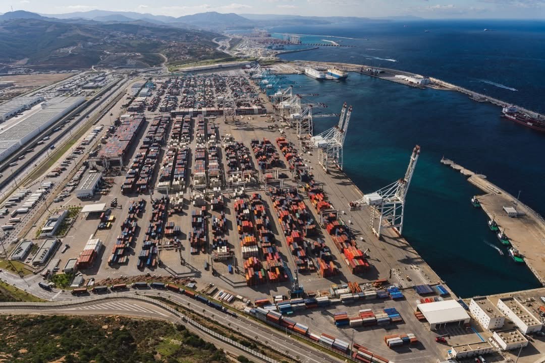 موقع بريطاني يفضح دعم المغرب لحرب الإبادة الصهيونية على غزة