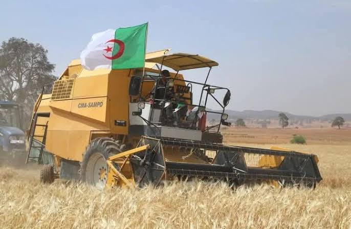 جانت : تسجيل مردود مشجع من الحبوب خلال حملة الحصاد والدرس