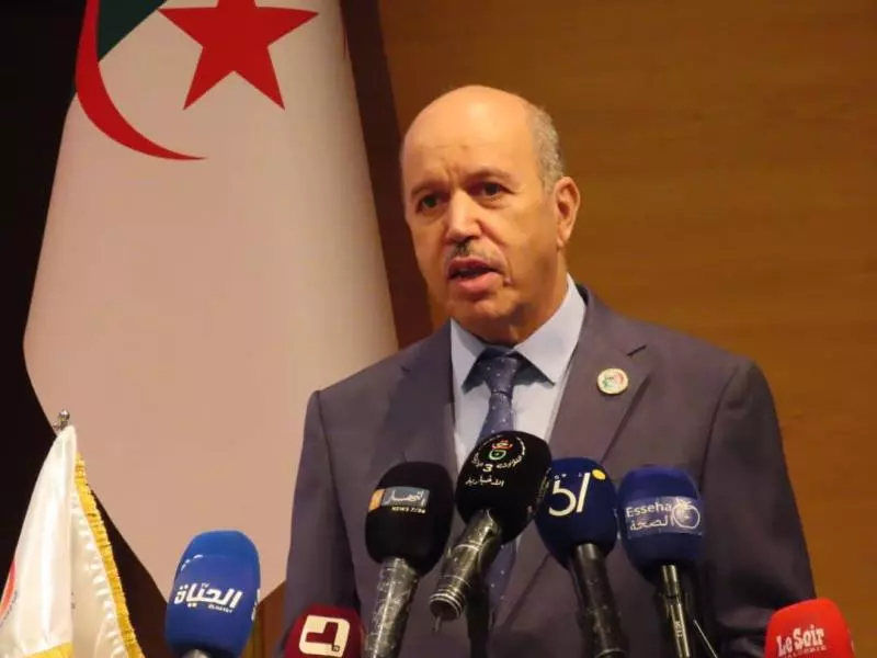 سايحي: سيشرع في الأيام القادمة في الإجراءات المتعلقة بفتح مصالح المستشفى الجديد بتمنراست بسعة 240 سرير