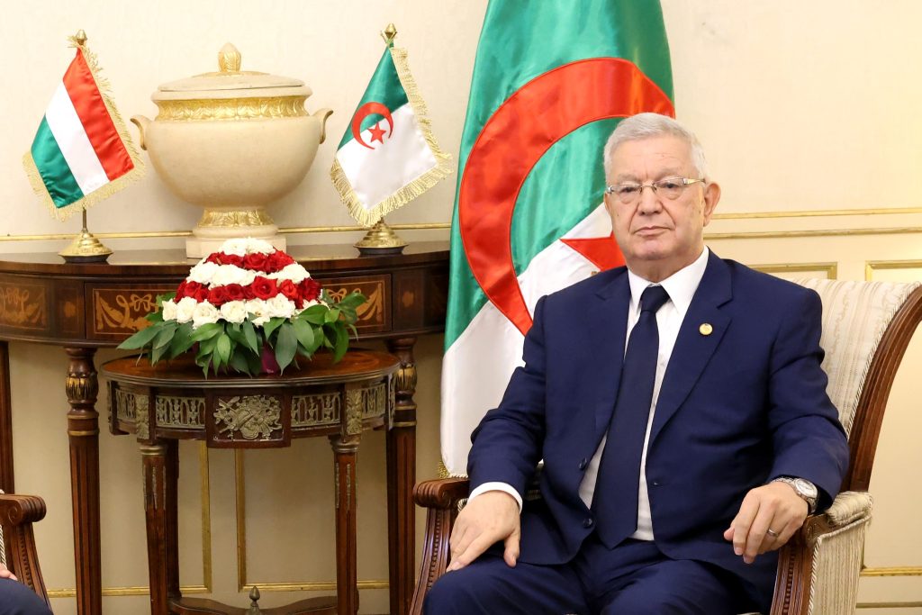 ناصري: الجزائر الجديدة تولي مكانة استراتيجية لملف الذاكرة الوطنية