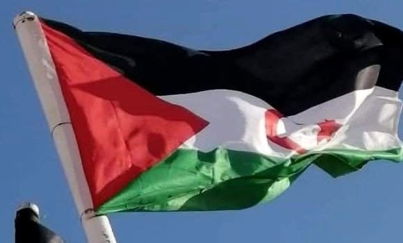 الصحراء الغربية: توالي ردود الفعل المنددة بطرد الاحتلال المغربي للمراقبين الأجانب