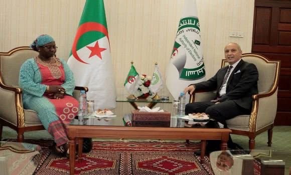 خلفان يستقبل مسؤولة وحدة الديمقراطية والانتخابات بمفوضية الاتحاد الإفريقي