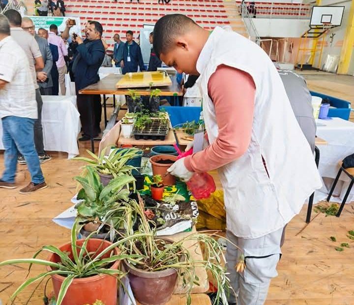 المغير: تخصيص أكثر من 1800 منصب تكويني جديد برسم دورة أكتوبر 2025