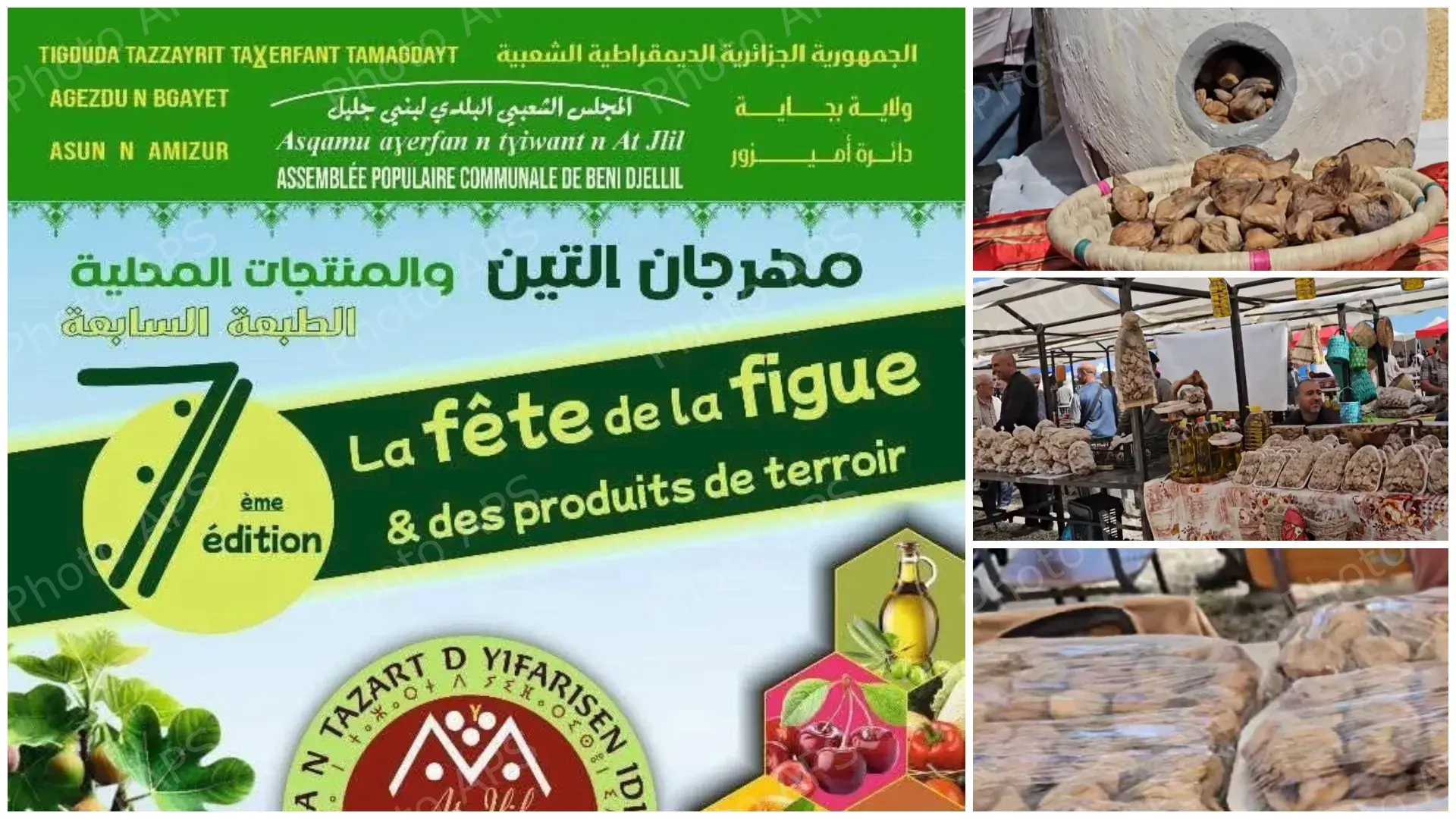 عيد التين ببجاية, موعد هام لتثمين المنتج الفلاحي المحلي