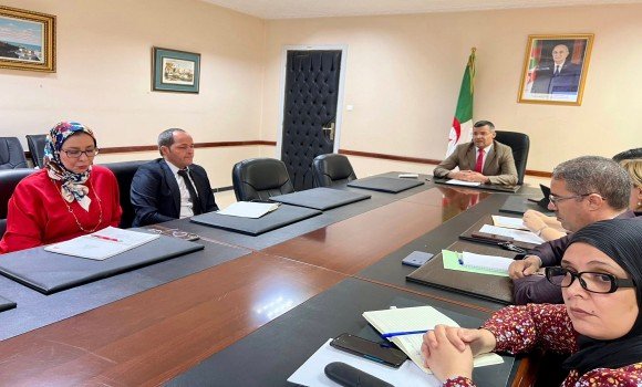 ركاش يدعو مدراء الشبابيك اللامركزية إلى مضاعفة الجهود لمرافقة المتعاملين الاقتصاديين