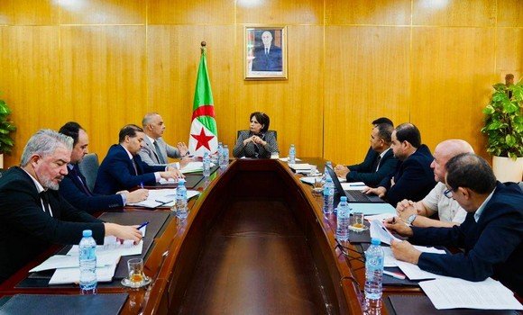 وزيرة الثقافة والفنون تشرف على اجتماعين لدراسة واقع السينما الجزائرية